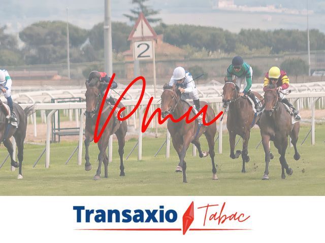 NANCY (54) A VENDRE PRESSE FDJ PMU