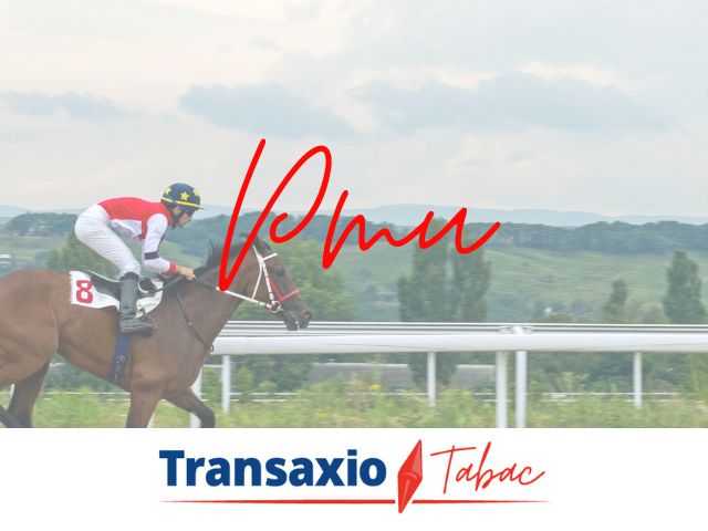 BAR JEUX A VENDRE PAYS DE MONTBELIARD